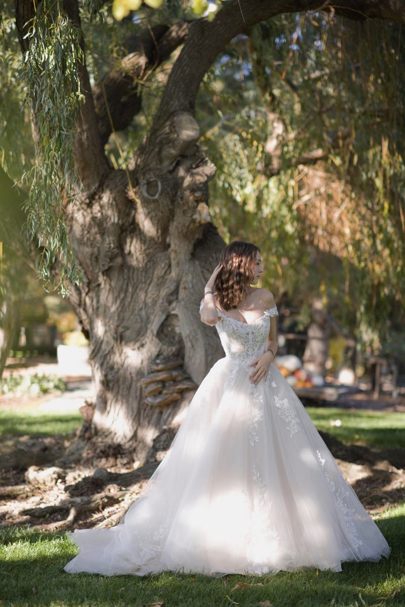 Bride in a lace ball gown beneath the Grandmother Willow tree at On Collin's Pond garden wedding venue in Middleton, Idaho